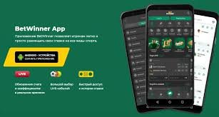 BetWinner App Download Guide Everything You Need to Know