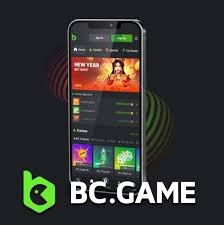 Termeni și Condiții BC Game Ghid Complet pentru Utilizatori